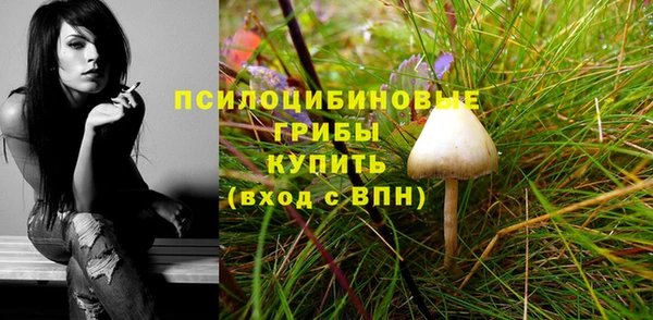 2c-b Алексин
