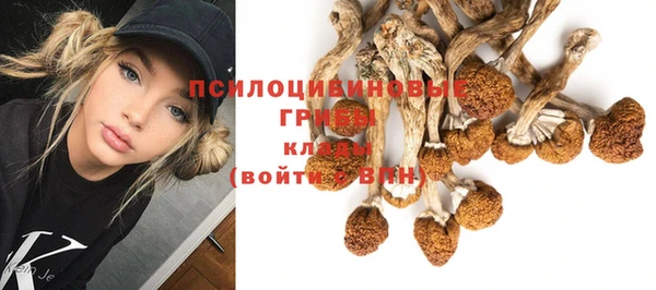 соль курить ск Алзамай