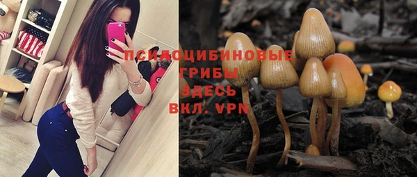 индика Алексеевка