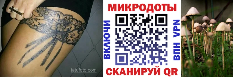 KRAKEN вход  купить  сайты  Петровск-Забайкальский  Псилоцибиновые грибы прущие грибы 